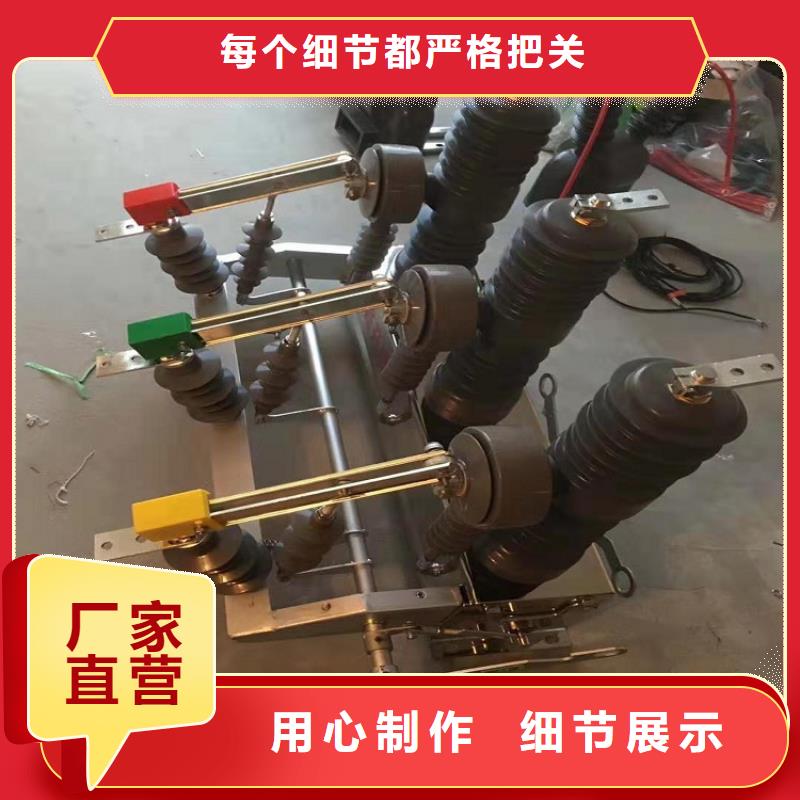 【自贡】ZW39户外柱上真空断路器/户外高压真空断路器/ZW32-12/630-20