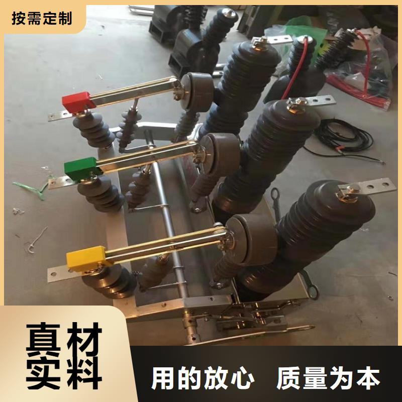 【自贡】ZW39户外柱上真空断路器/户外高压真空断路器/ZW32-12/630-20