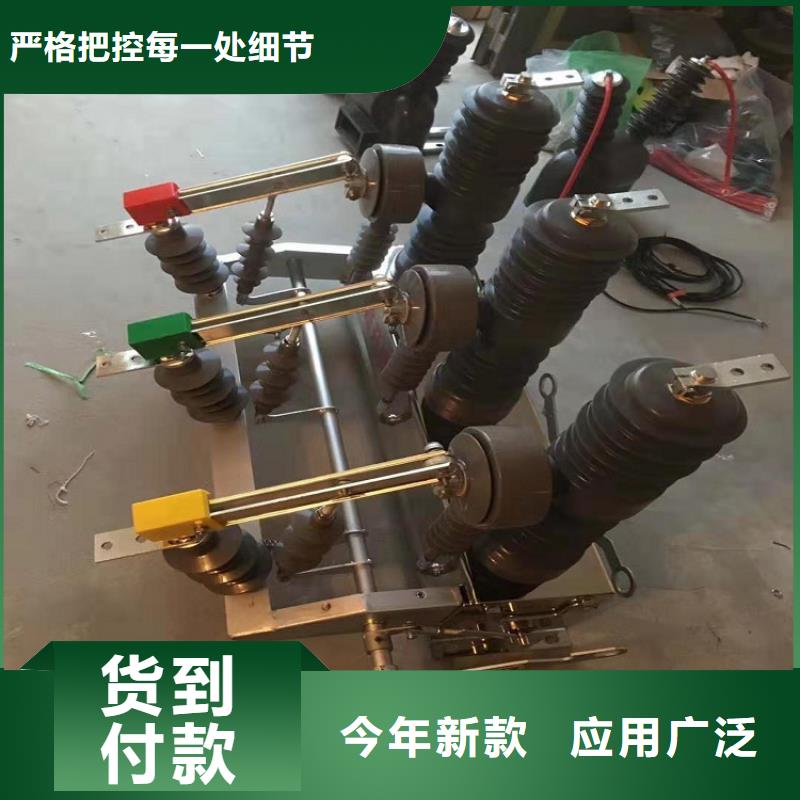 【自贡】ZW39户外柱上真空断路器/户外高压真空断路器/ZW32-12/630-20