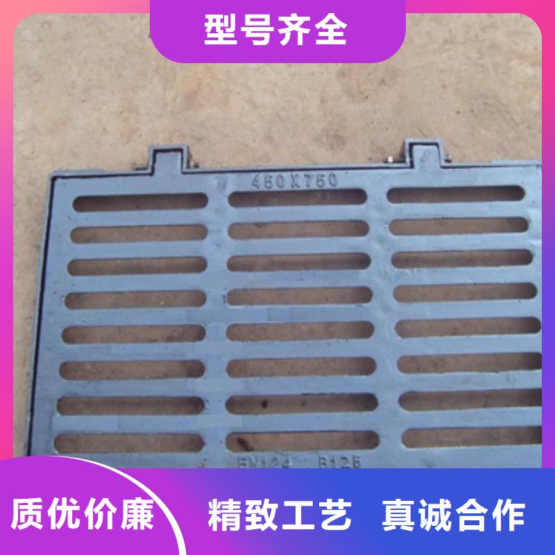临沧铸造&~球墨铸铁篦子(长篦子)