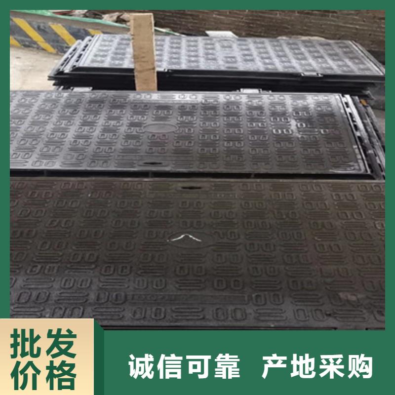 临沧铸造&~球墨铸铁篦子(长篦子)