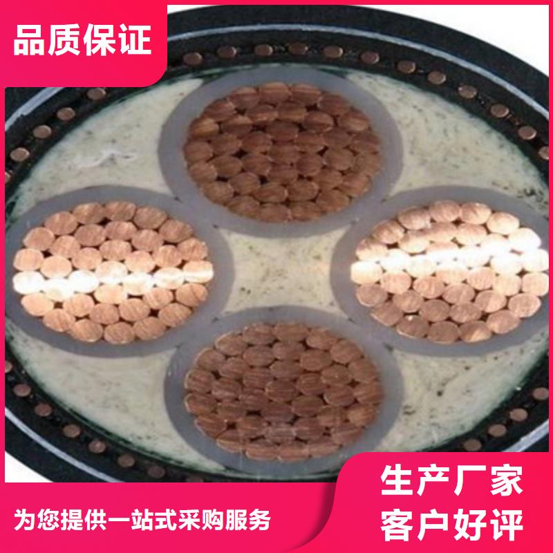 湖南厂家生产定做ZR-KVVRP 6X2.5线缆好口碑