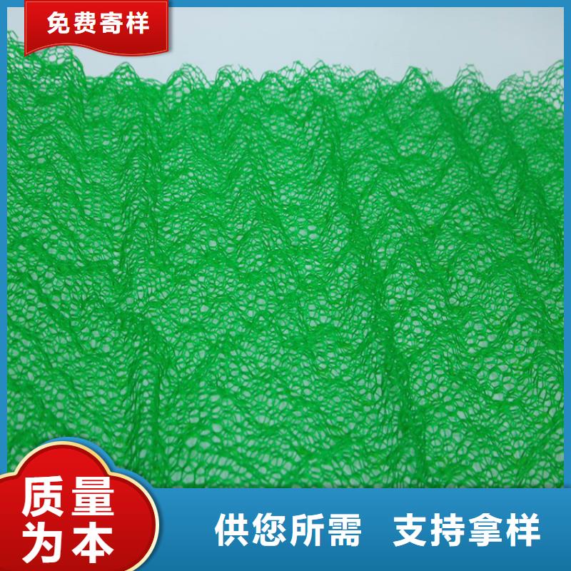 揭阳市三维植被网有限公司地址