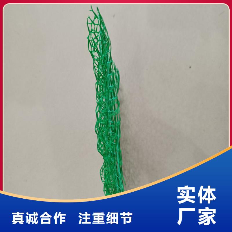 揭阳市三维植被网有限公司地址