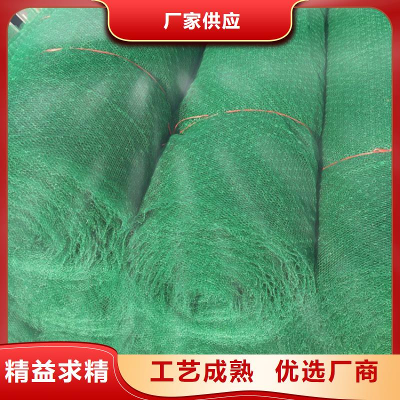 揭阳市三维植被网有限公司地址