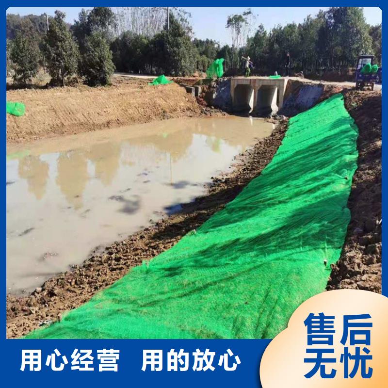 揭阳市三维植被网有限公司地址