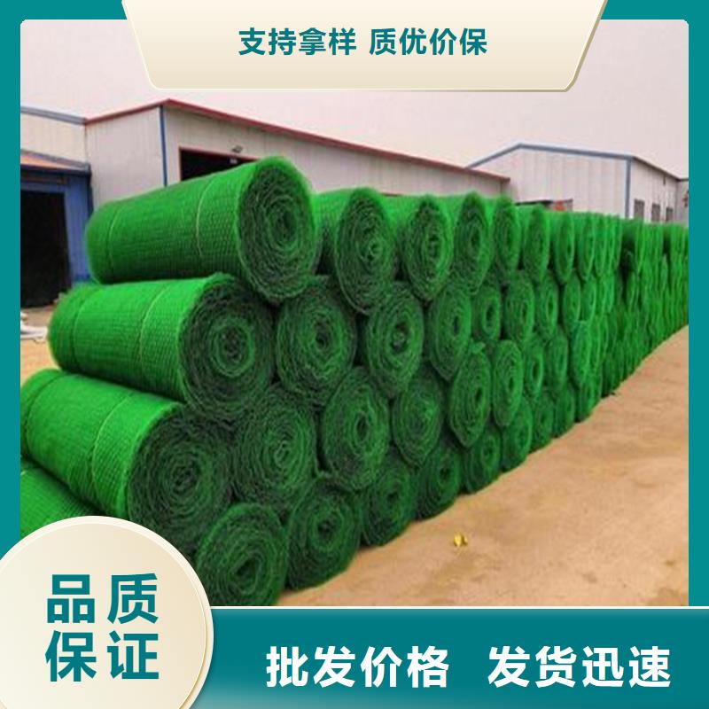揭阳市三维植被网有限公司地址