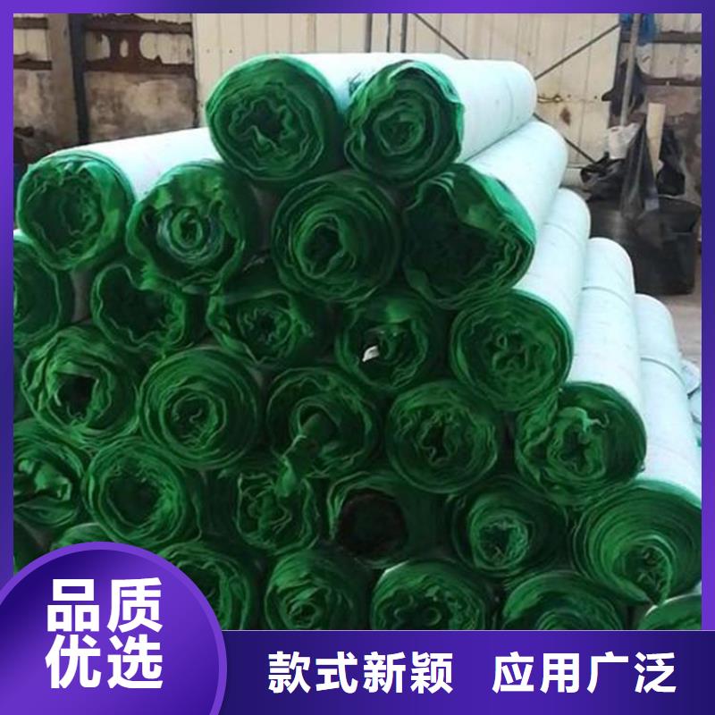 盐城护坡生态毯-水保椰丝毯