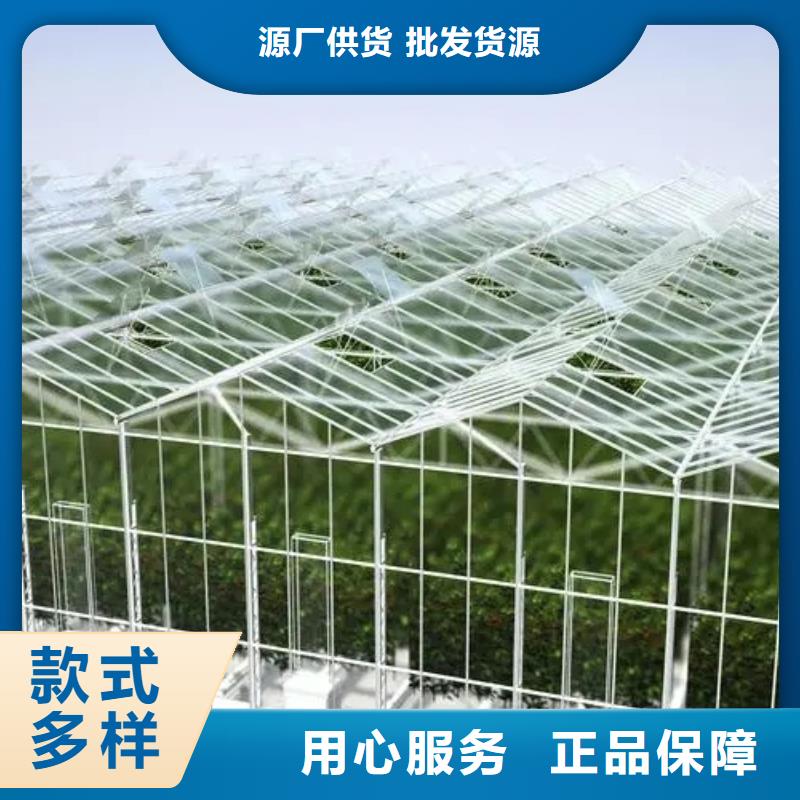 山东省威海环翠区葡萄大棚专用膜出厂价格2023乡村振兴计划