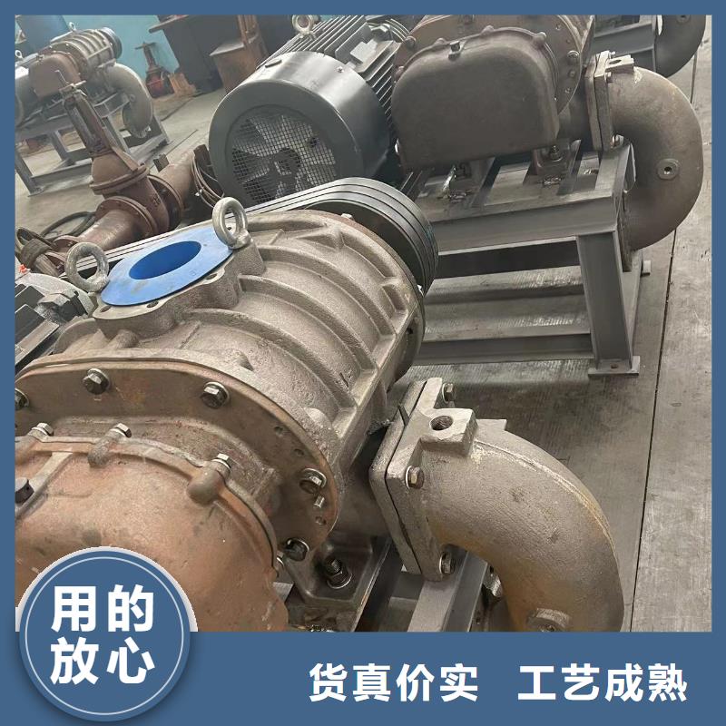 山东临风科技股份两叶罗茨风机LFSR100大庆