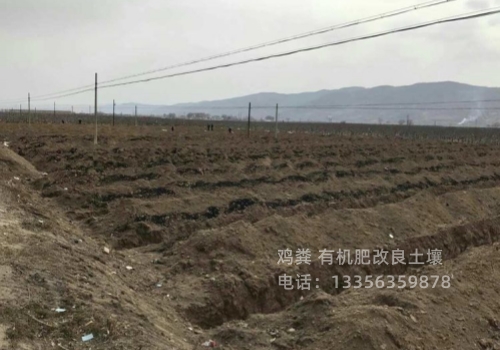 发酵羊粪一亩地用多少