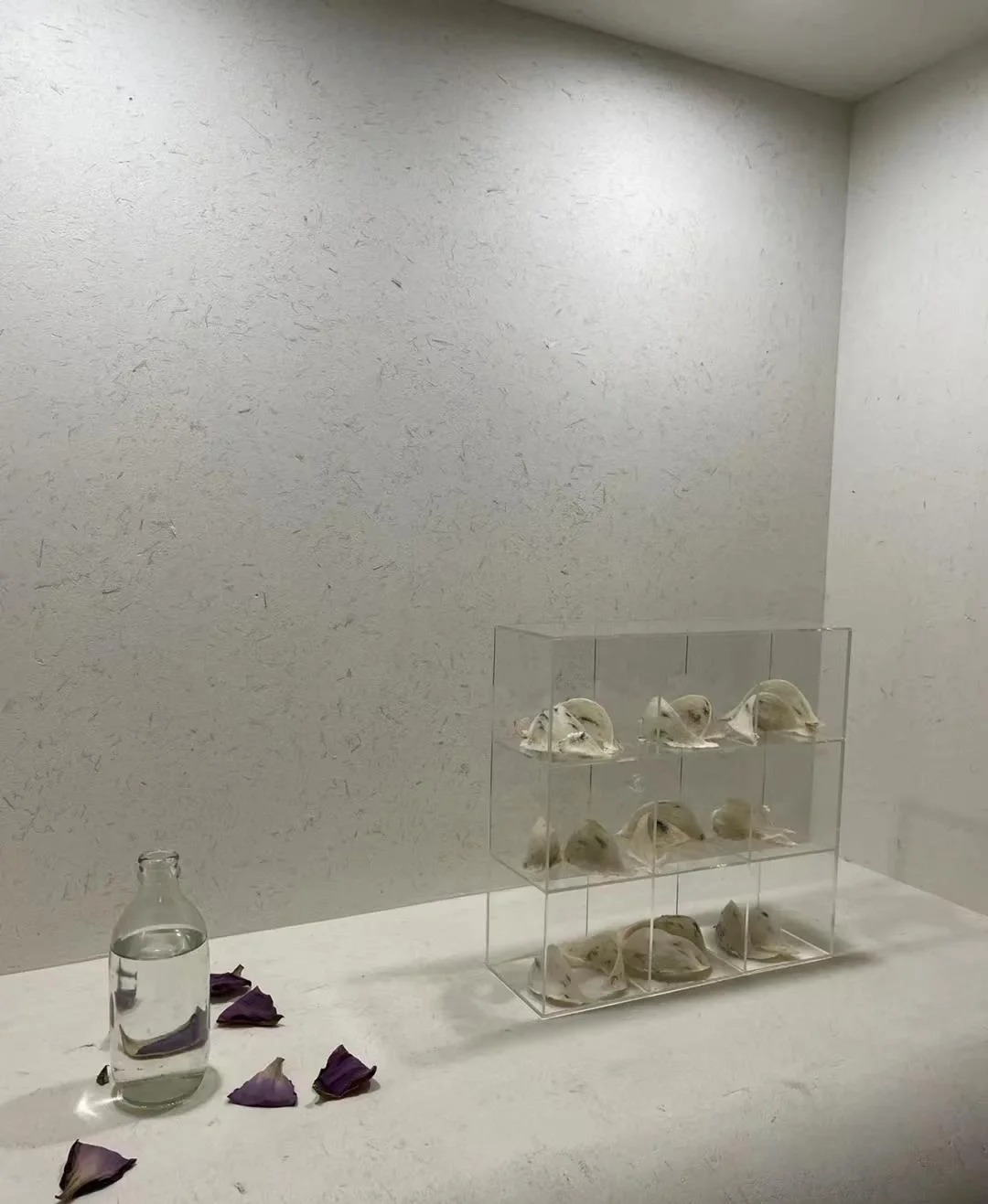 稻壳漆全包施工质优价廉