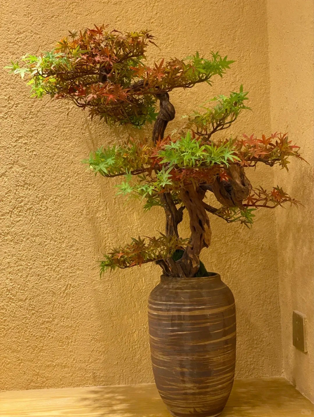 酒店民宿稻草漆专业施工，源头工厂