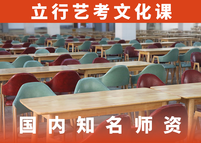 艺考生文化课高考语文辅导指导就业
