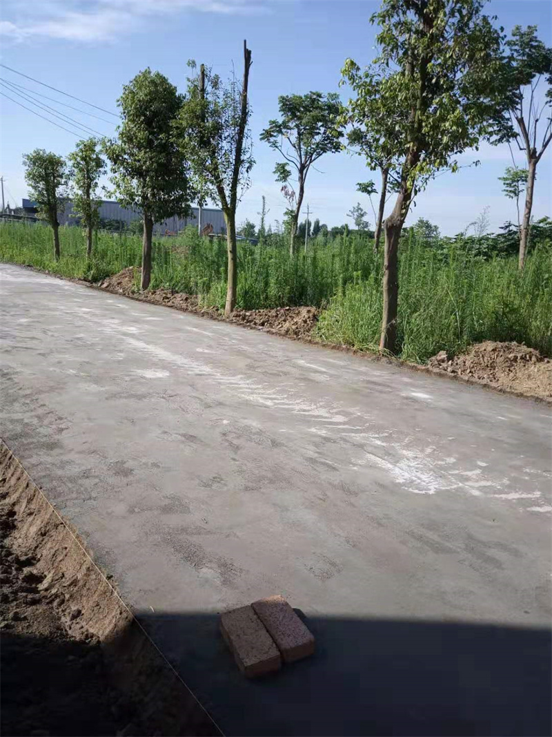原生泰土壤固化剂-原生泰土壤固化剂到厂参观