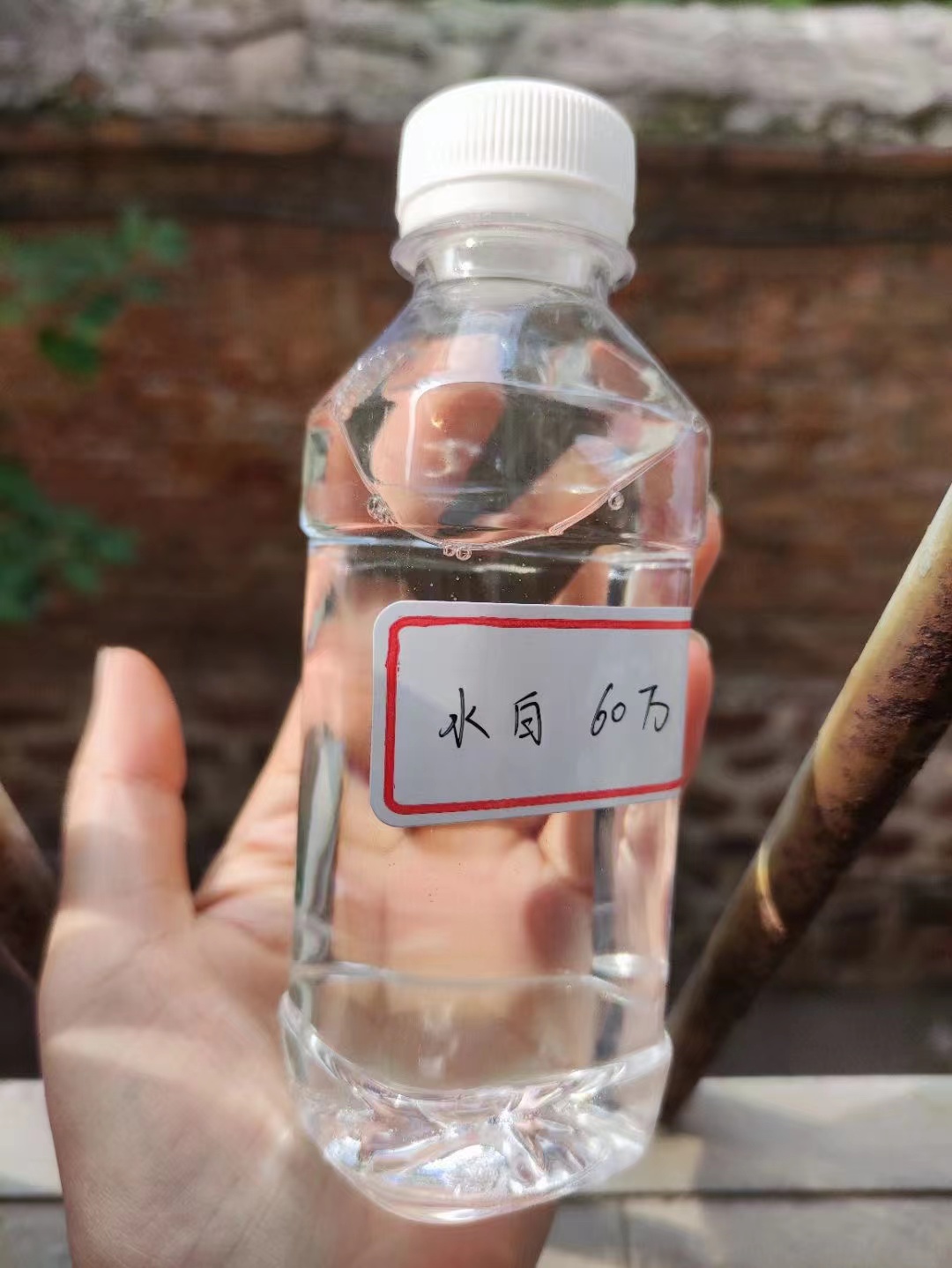 【碳源】_新型葡萄糖碳源价格低