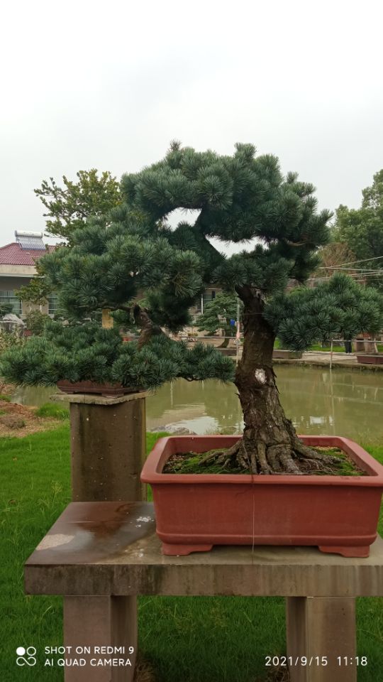 土壤固化剂粉煤灰固化剂实体诚信经营