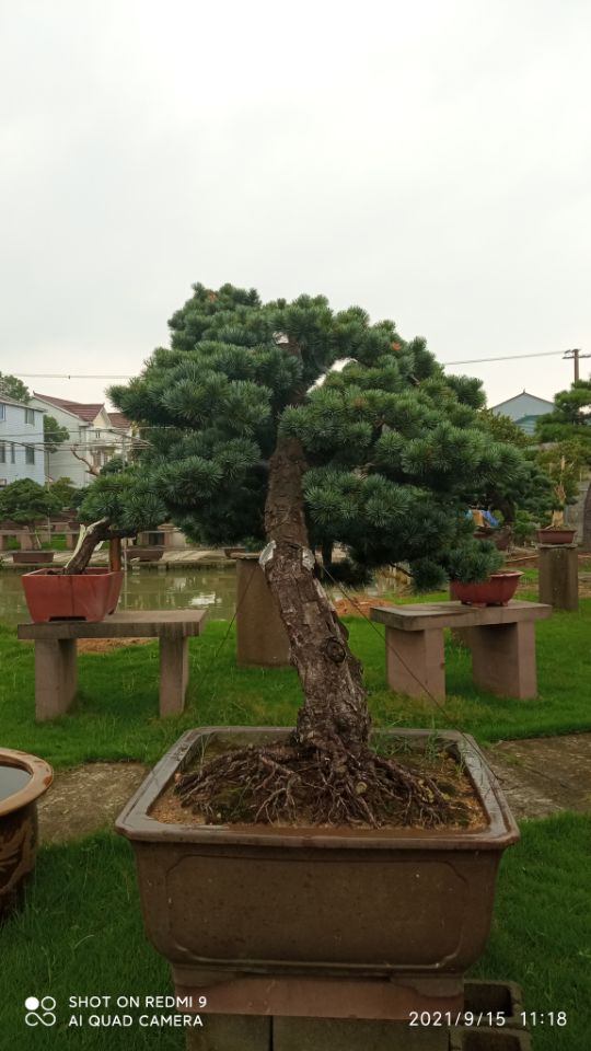 预拌流态固化土施工班组粉体固化剂免费咨询